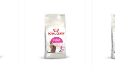 сухой корм для кошек royal canin